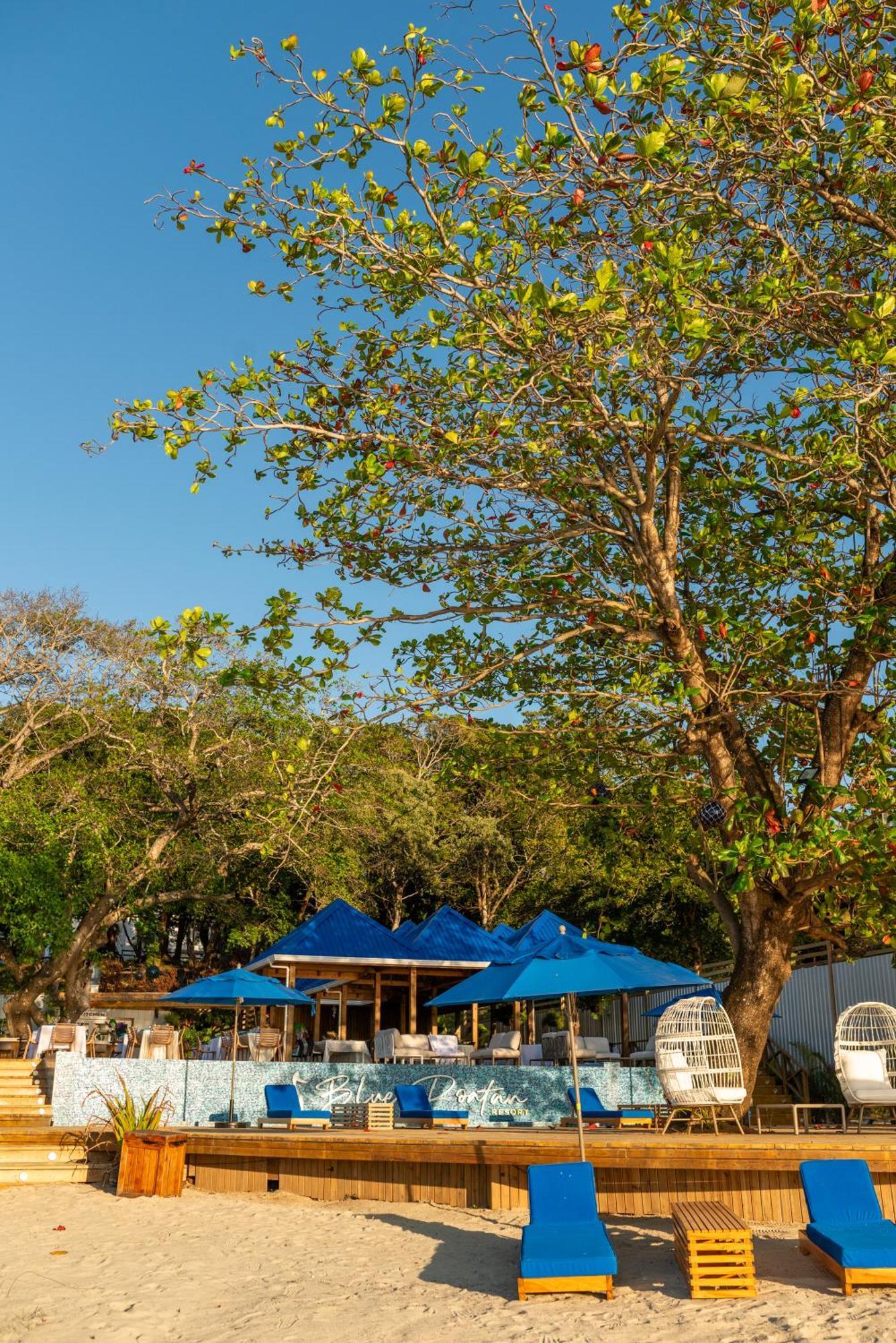 ווסט ביי Blue Roatan Resort מראה חיצוני תמונה