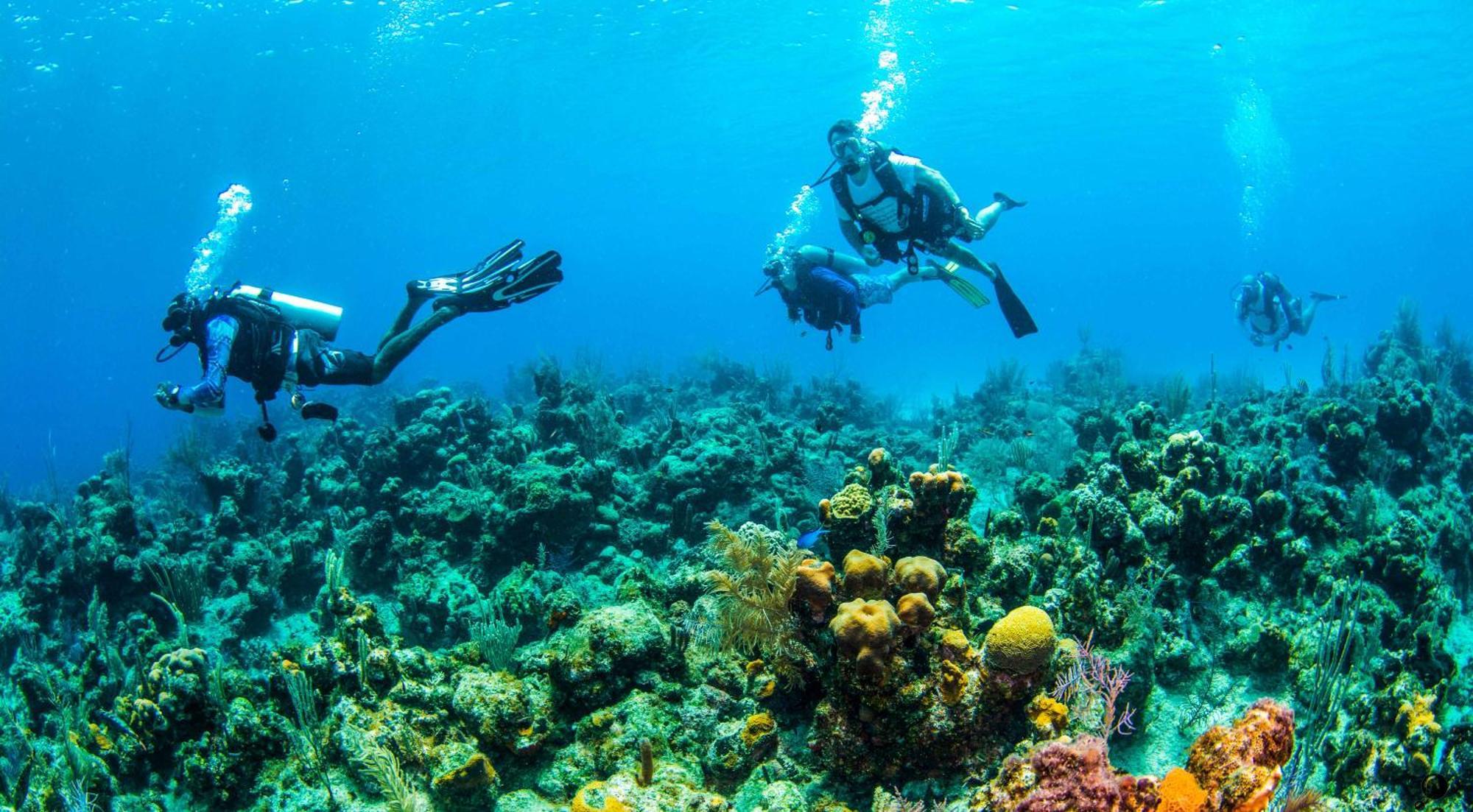 ווסט ביי Blue Roatan Resort מראה חיצוני תמונה
