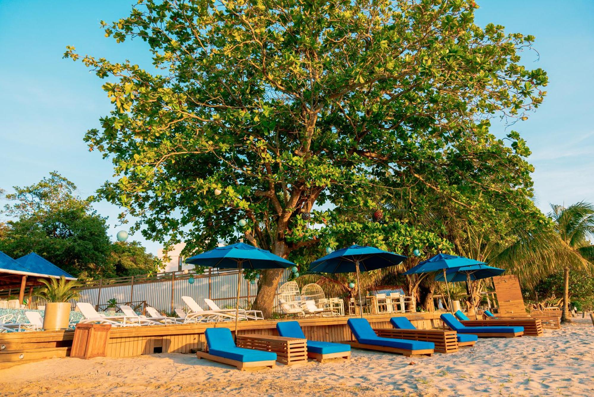 ווסט ביי Blue Roatan Resort מראה חיצוני תמונה